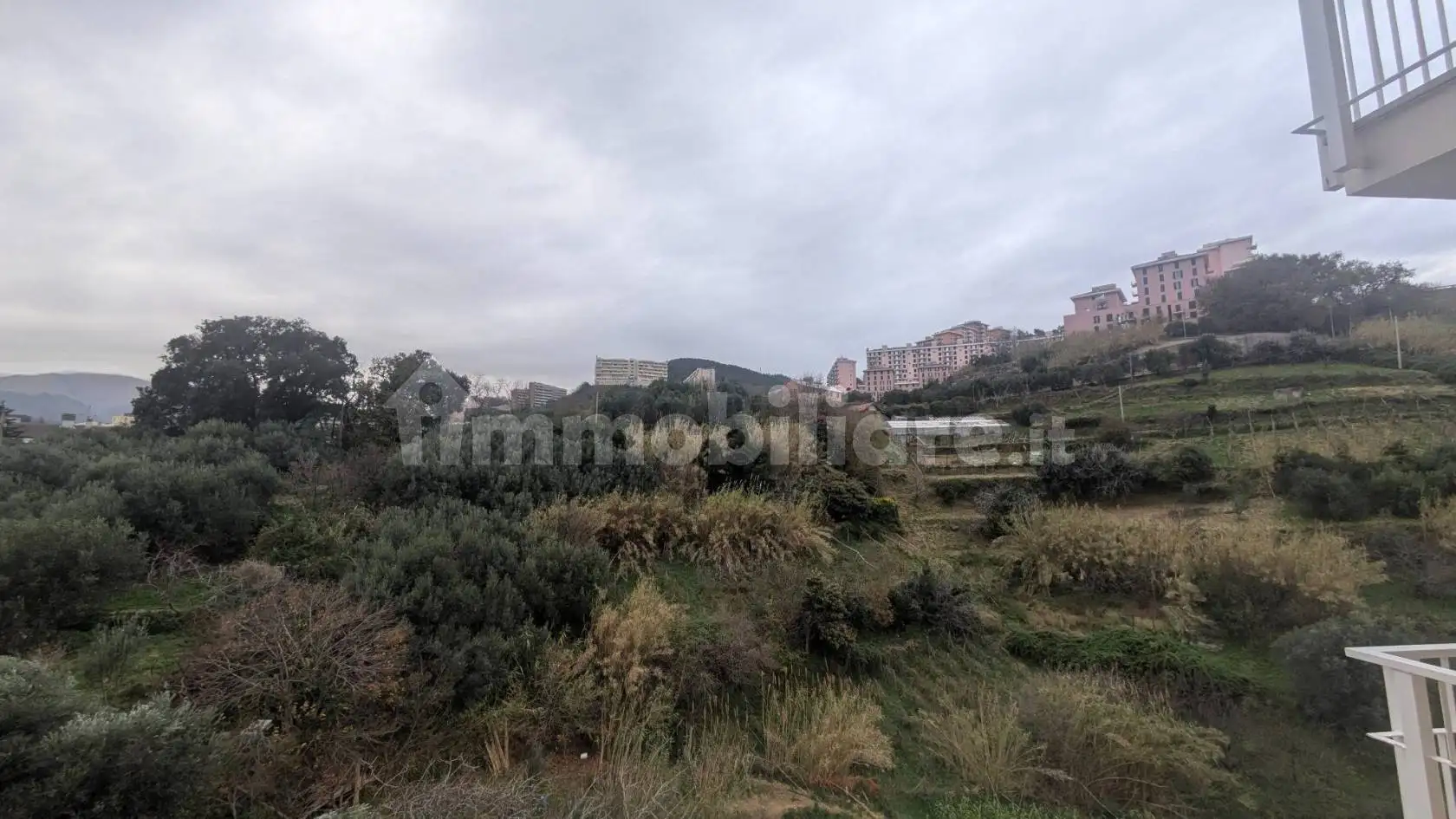 Appartamento in affitto a Genova