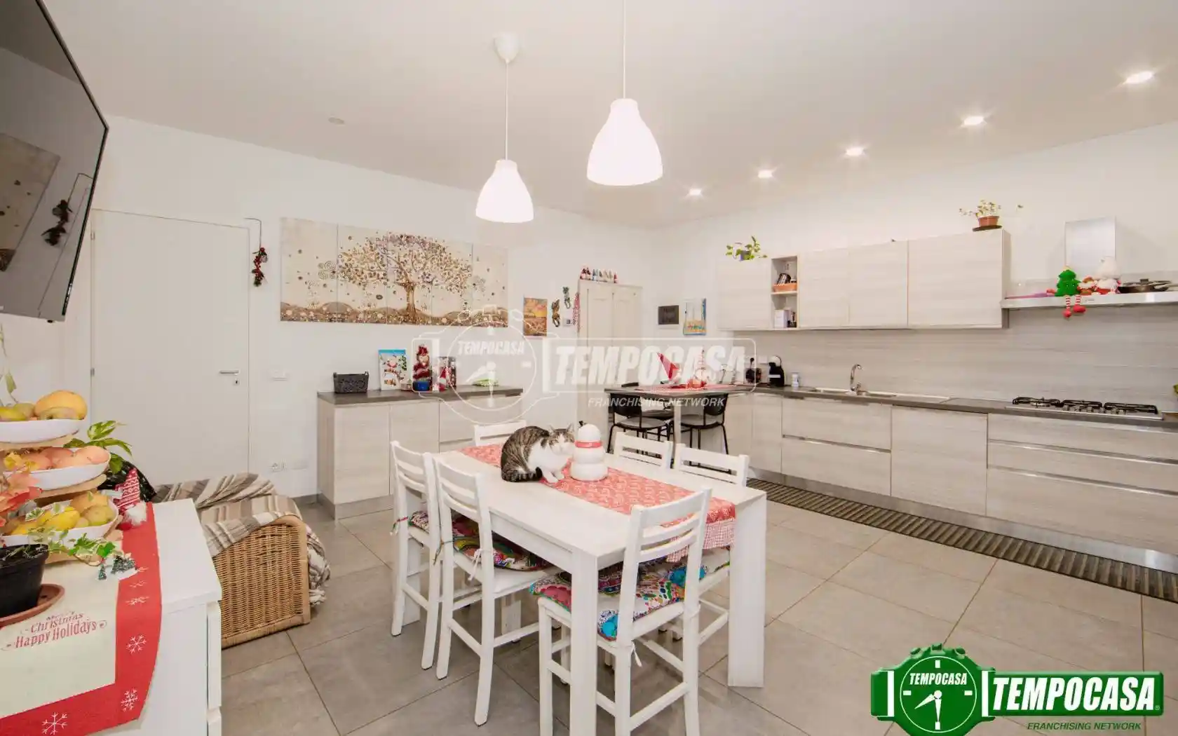 Terratetto unifamiliare via Albertini, Centro Storico, Pavia - foto 5