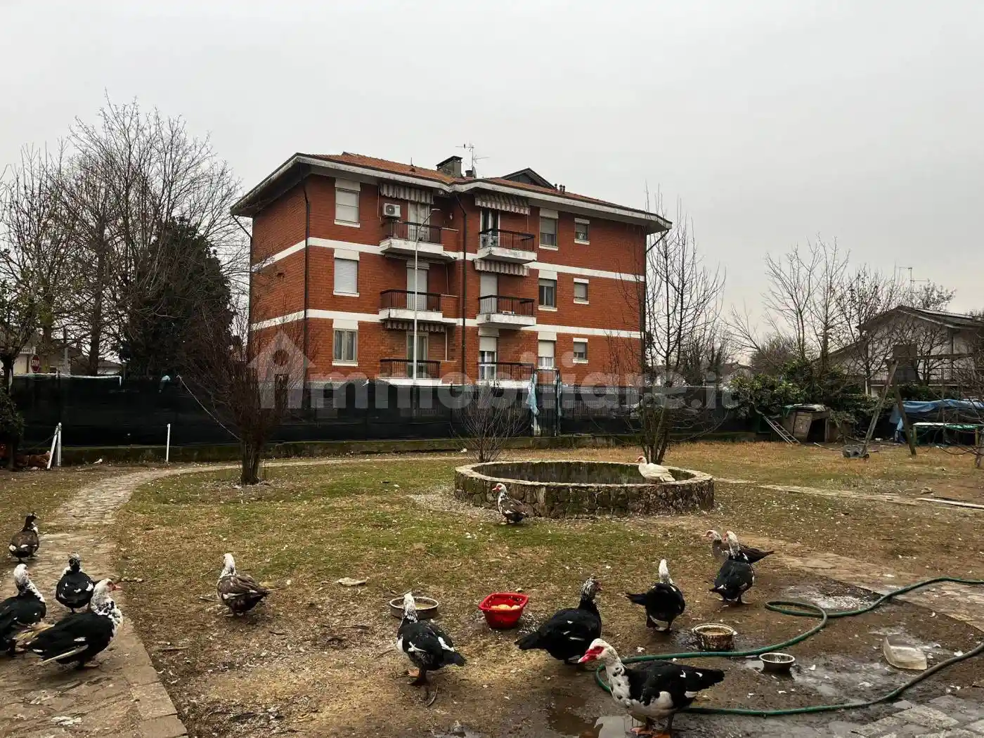 Palazzo - Edificio - foto 5