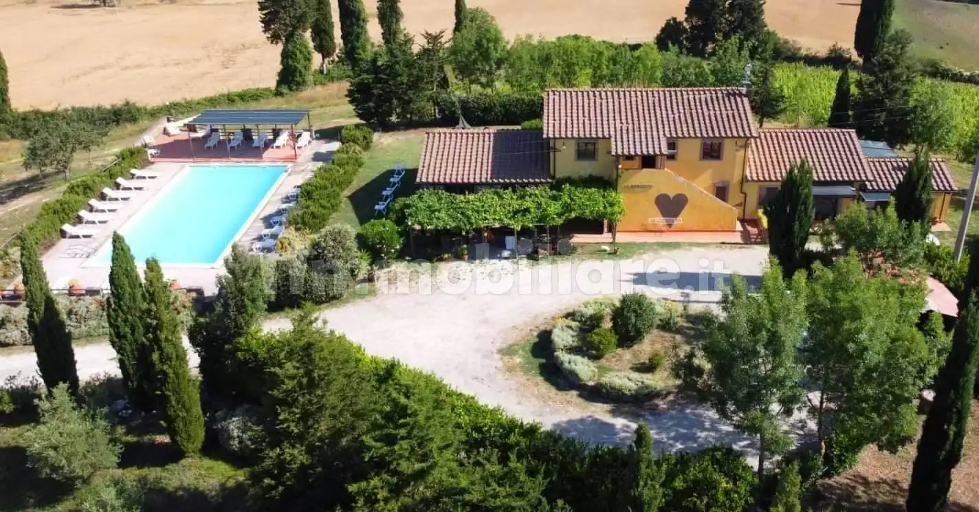 Rustico - Casale in vendita a Guardistallo