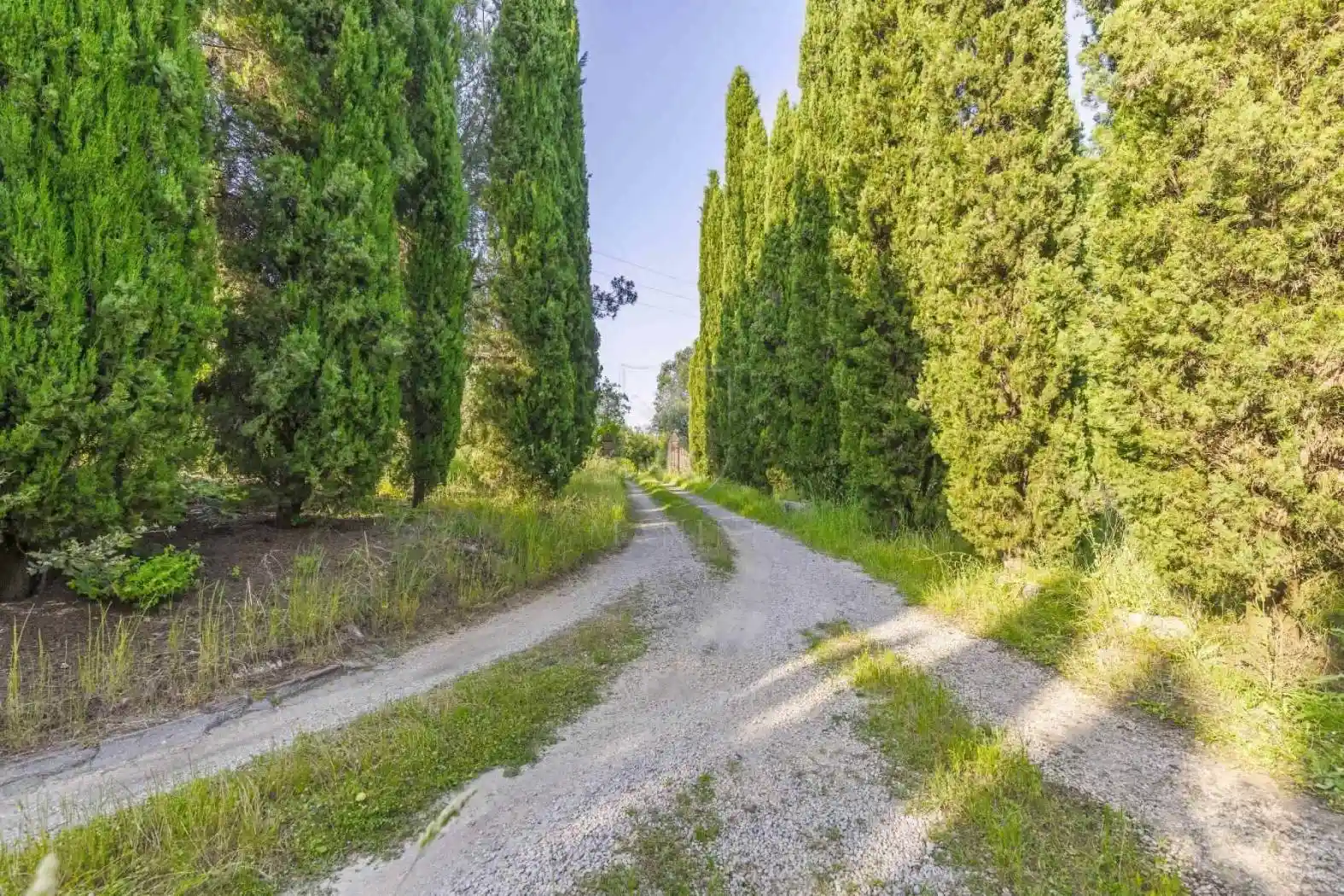 Casale, ottimo stato, 820 m², Centro, Sinalunga - foto 5
