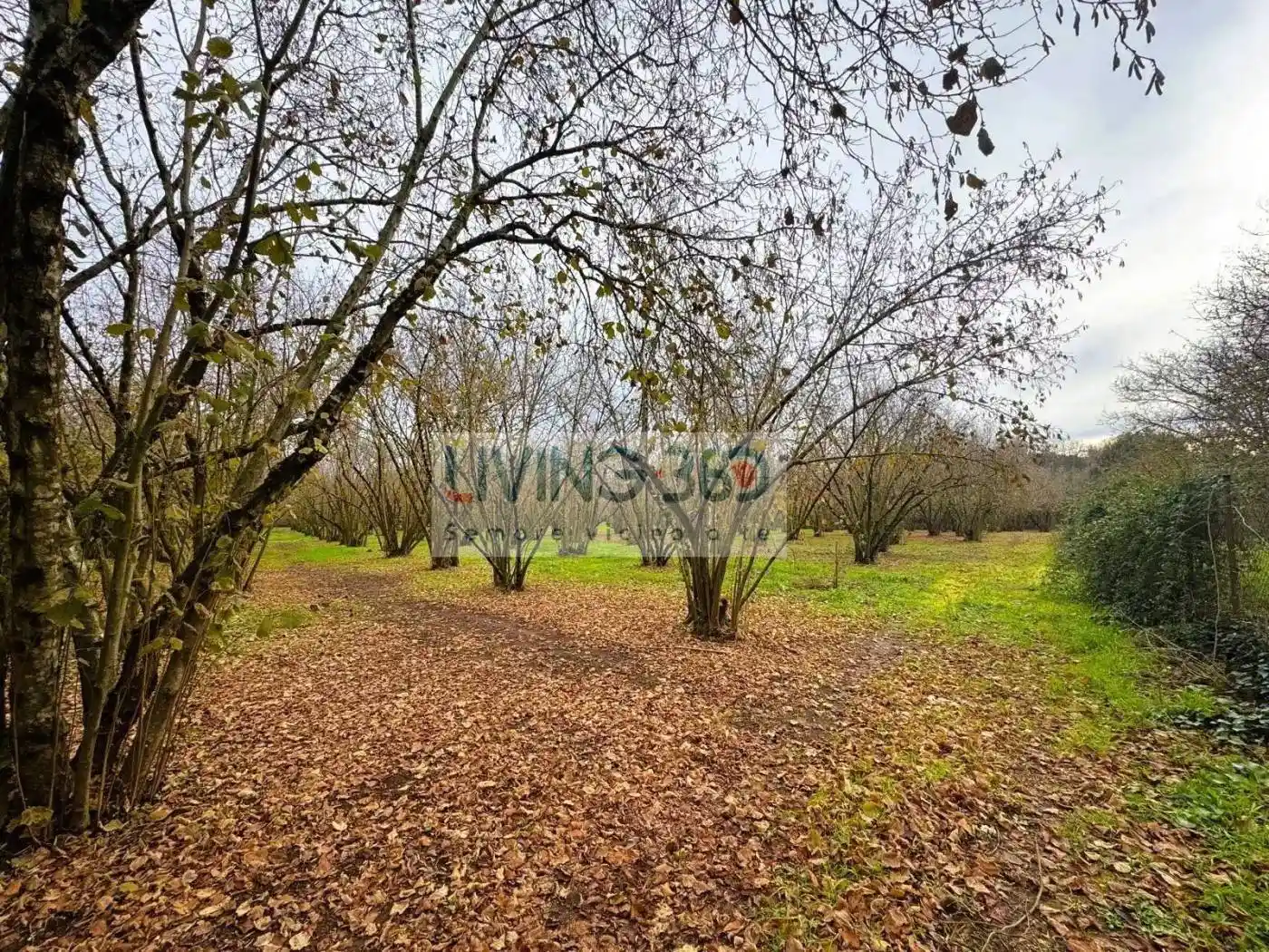 Villa unifamiliare via Lucio Battisti 1, Bassano Romano - foto 3