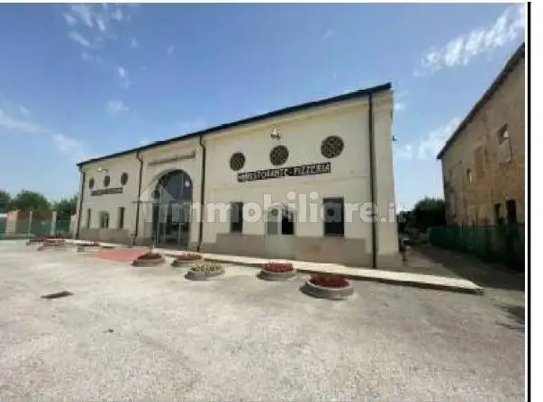 Palazzo - Stabile in asta a Rodigo