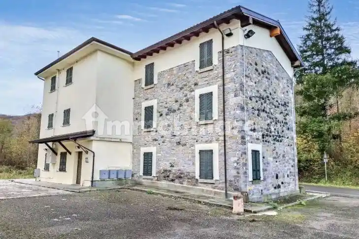 Palazzo - stabile all'asta Loc. Bosconure, Ss 654, Ferriere - foto 4