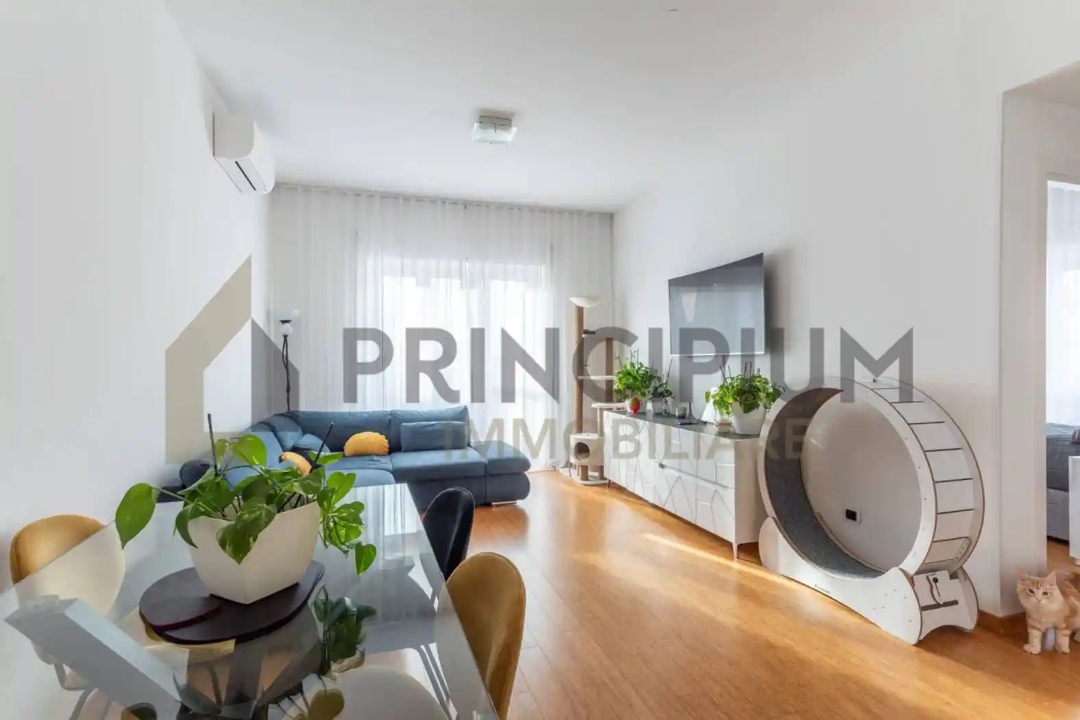 Bilocale via Achille Mauri 36, Monte Mario - Trionfale, Roma - foto 2