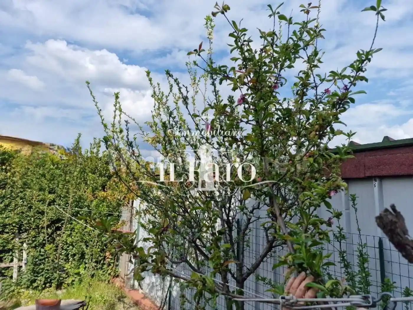 Terratetto unifamiliare Quattro Strade, Quattro Strade, Casciana Terme Lari - foto 4