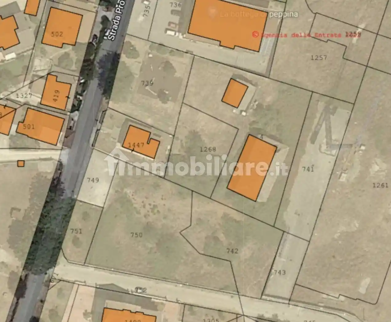 Rustico - Casale - foto 3