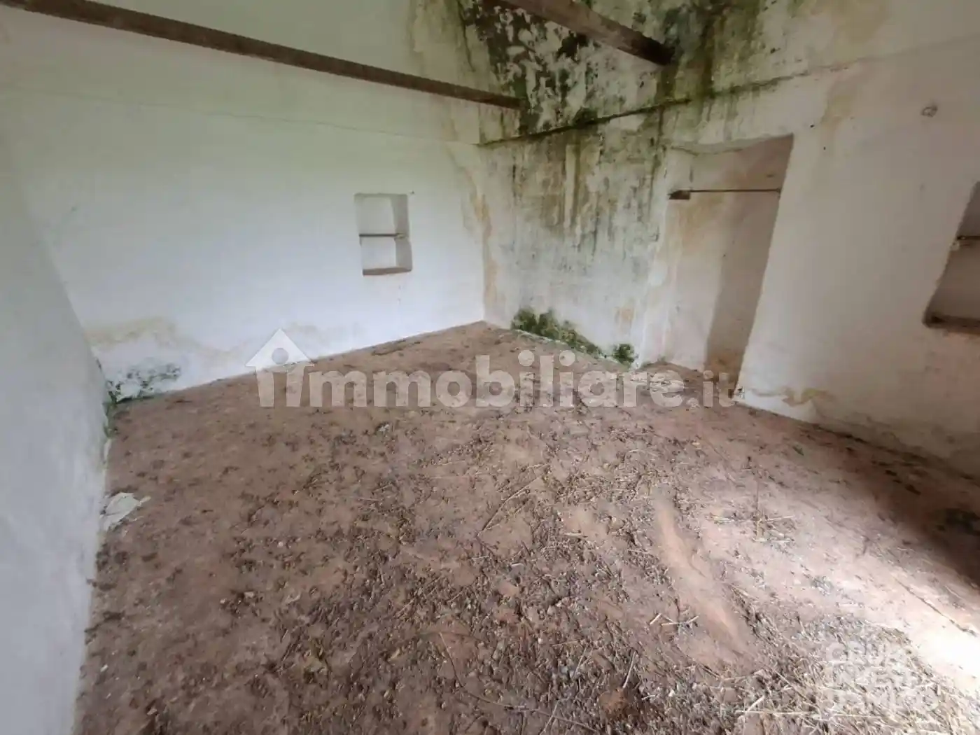 Rustico Contrada Polinisso, Santa Caterina, Ramunno, Chianchizzo, Ostuni - foto 3