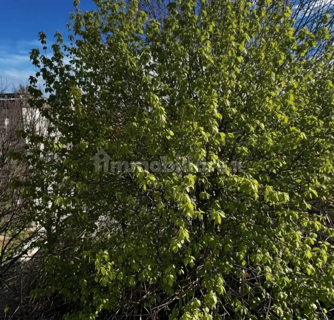 Appartamento quinto piano, Dante - Cheope, Piacenza - foto 3