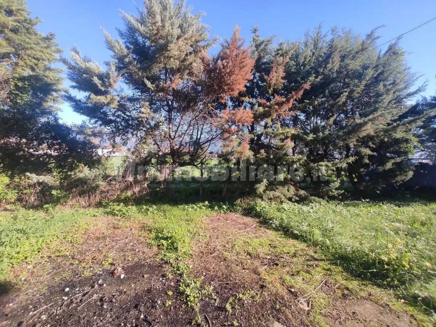 Villa bifamiliare Sp330, Alife - foto 2