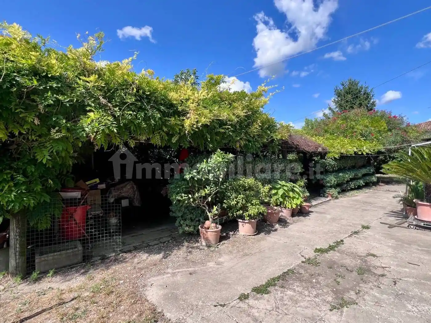 Casale via Roma, Centro, Brugine - foto 4