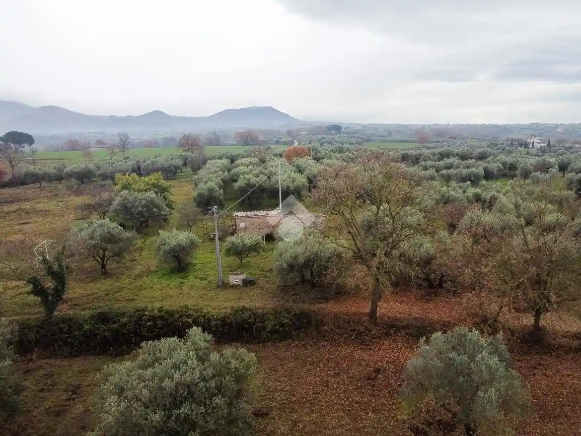 Rustico Strada dei galli, Vitorchiano - foto 4