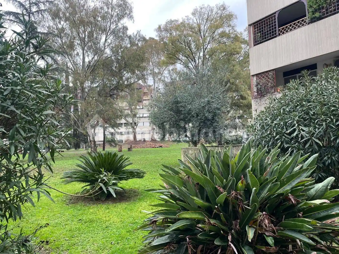 Quadrilocale viale Londra, Rinnovamento, Roma - foto 3