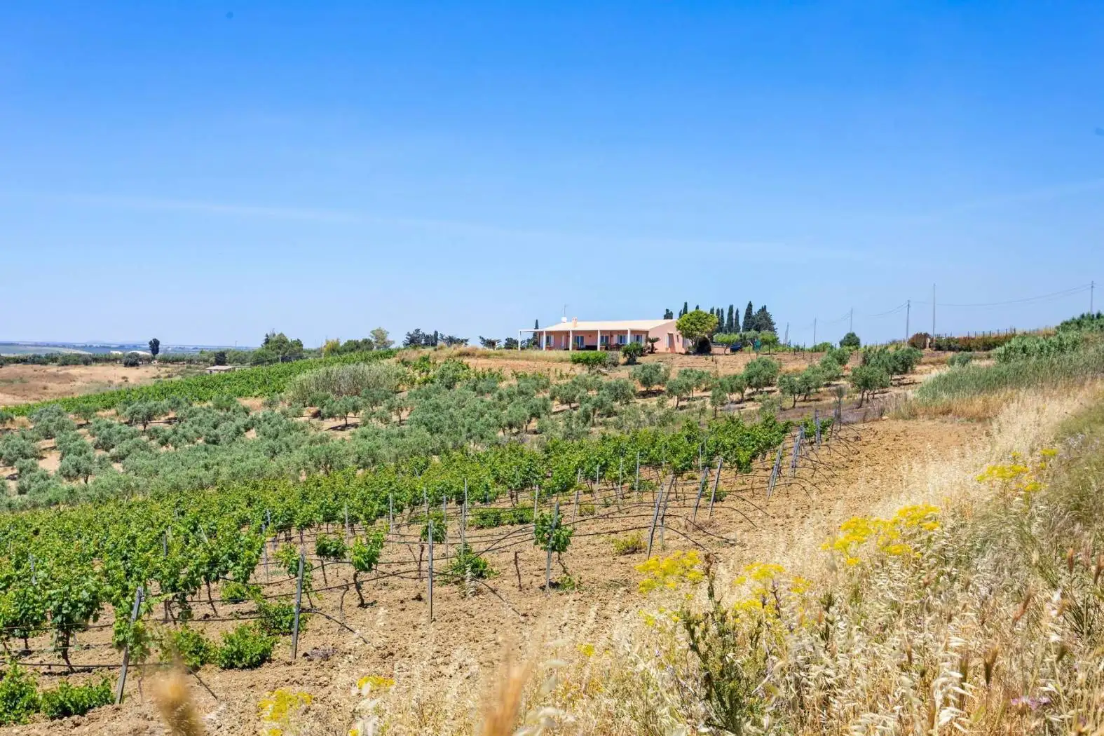 Villa in vendita a Castelvetrano