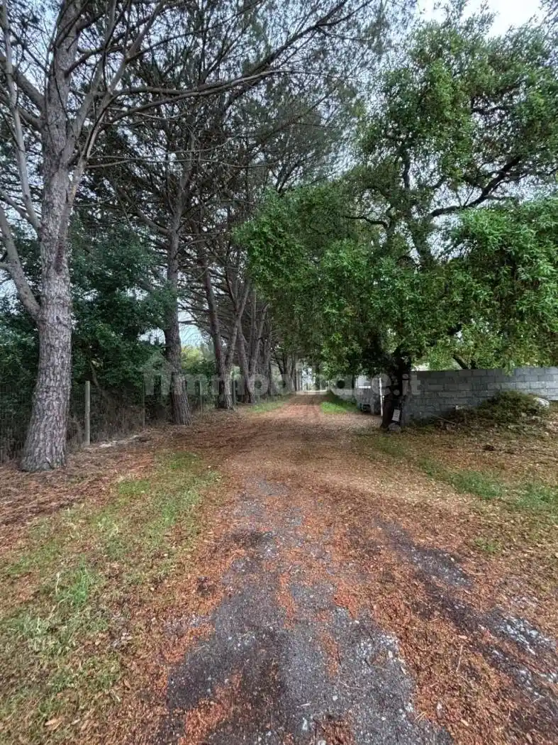 Rustico regione Tallaroga, Villamassargia - foto 3