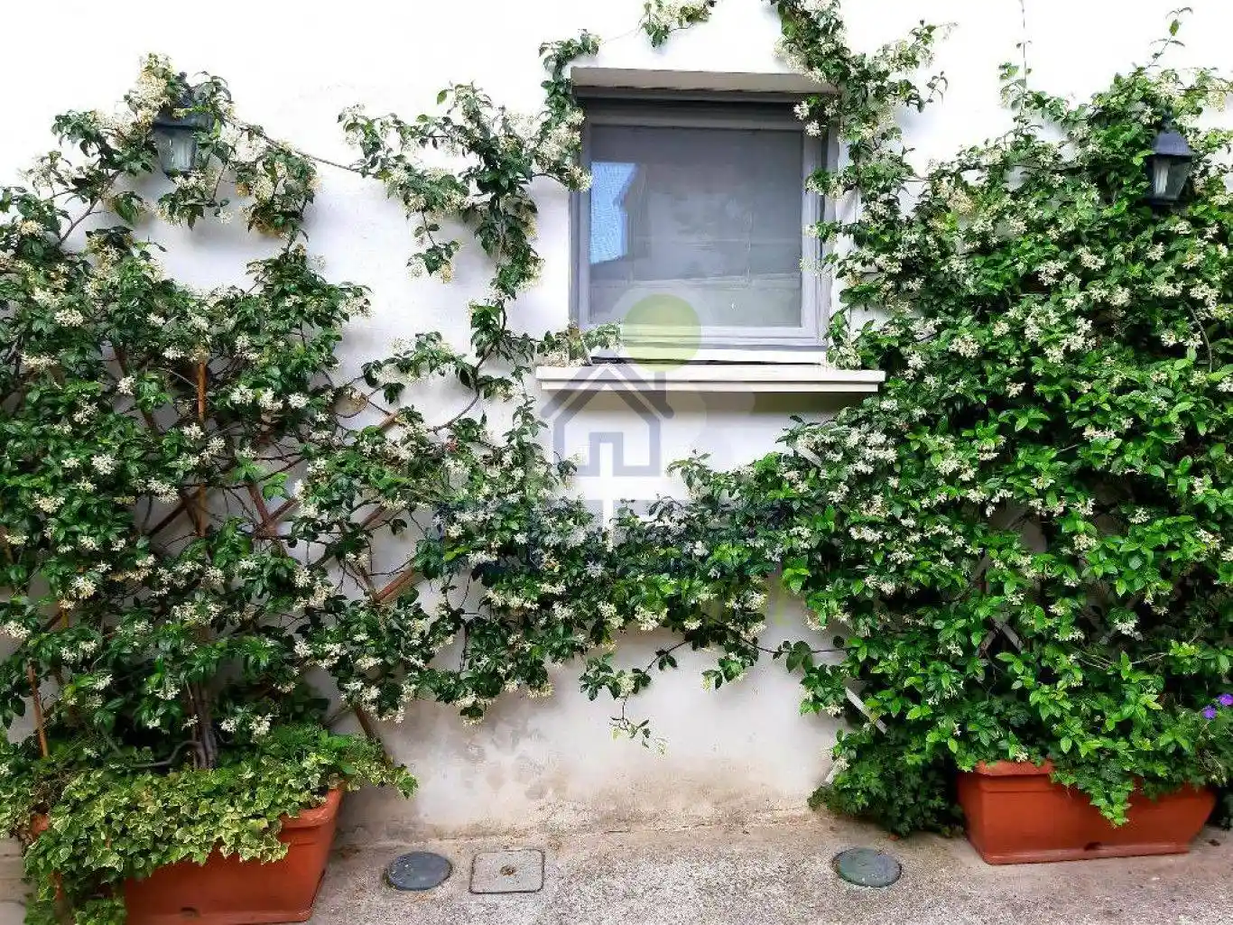 Bilocale via Garibaldi, Centro, Canneto sull'Oglio - foto 2