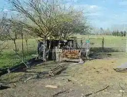 Appartamento in vendita a Pontelongo