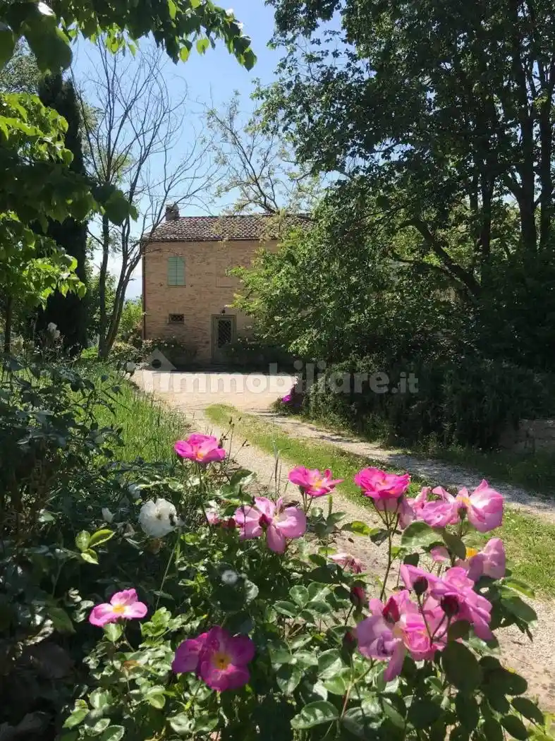 Rustico, ottimo stato, 260 m², Monte Giove - Magliano, Fano - foto 4