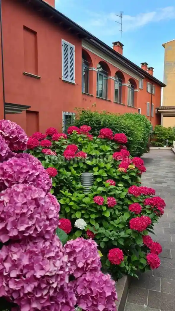 Appartamento in vendita a Piacenza