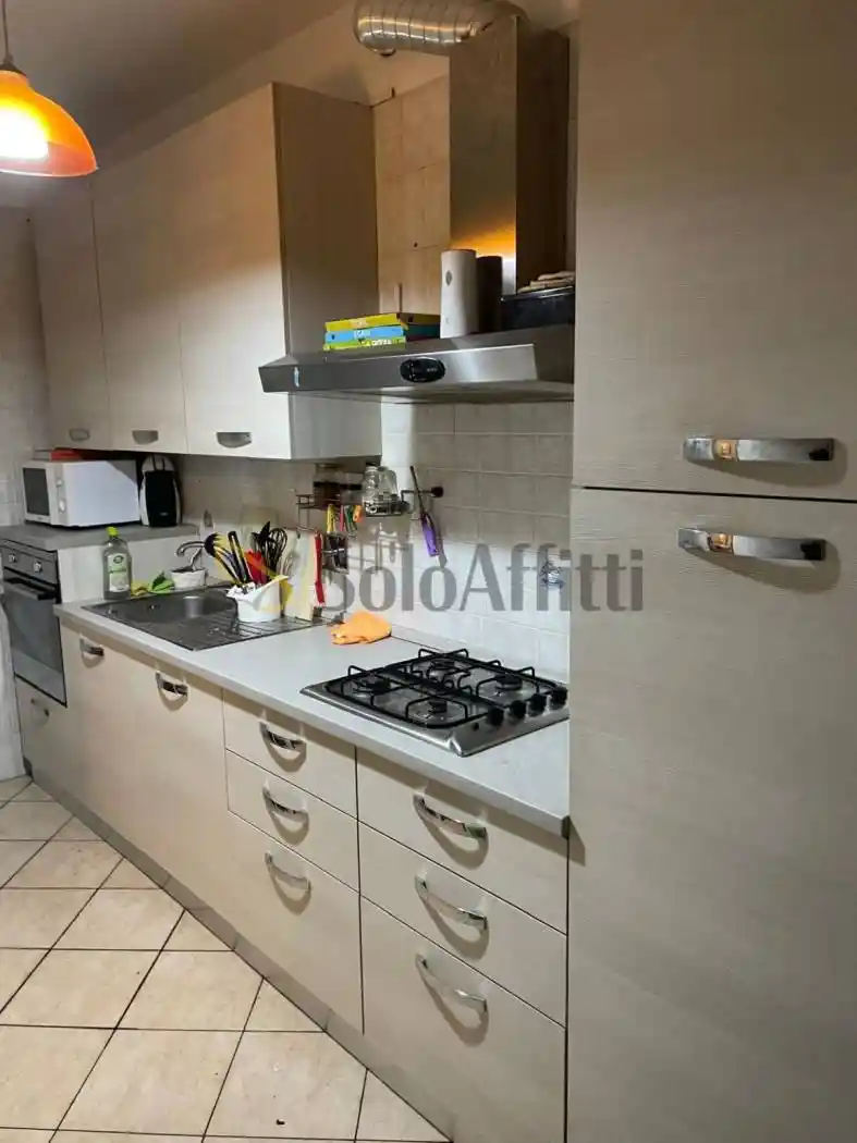 Quadrilocale corso Gamba, Parco Dora, Torino - foto 2