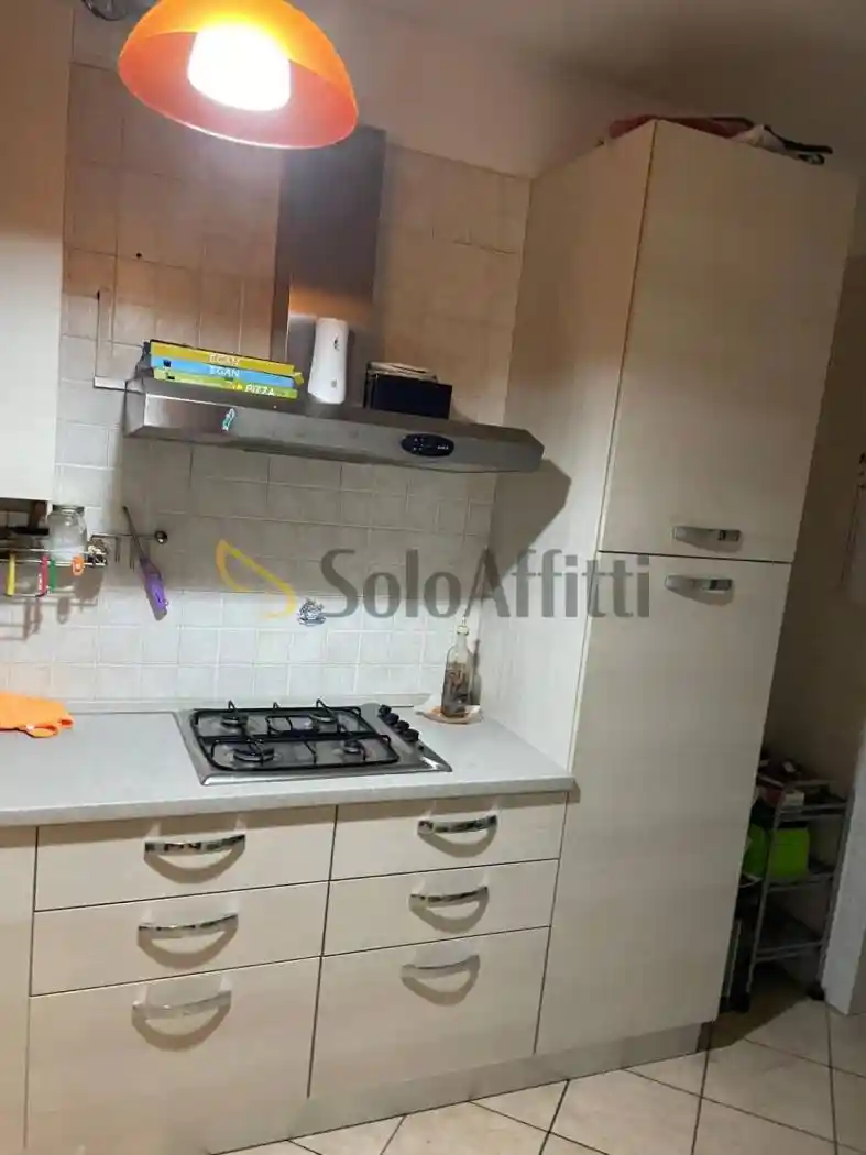 Quadrilocale corso Gamba, Parco Dora, Torino - foto 3