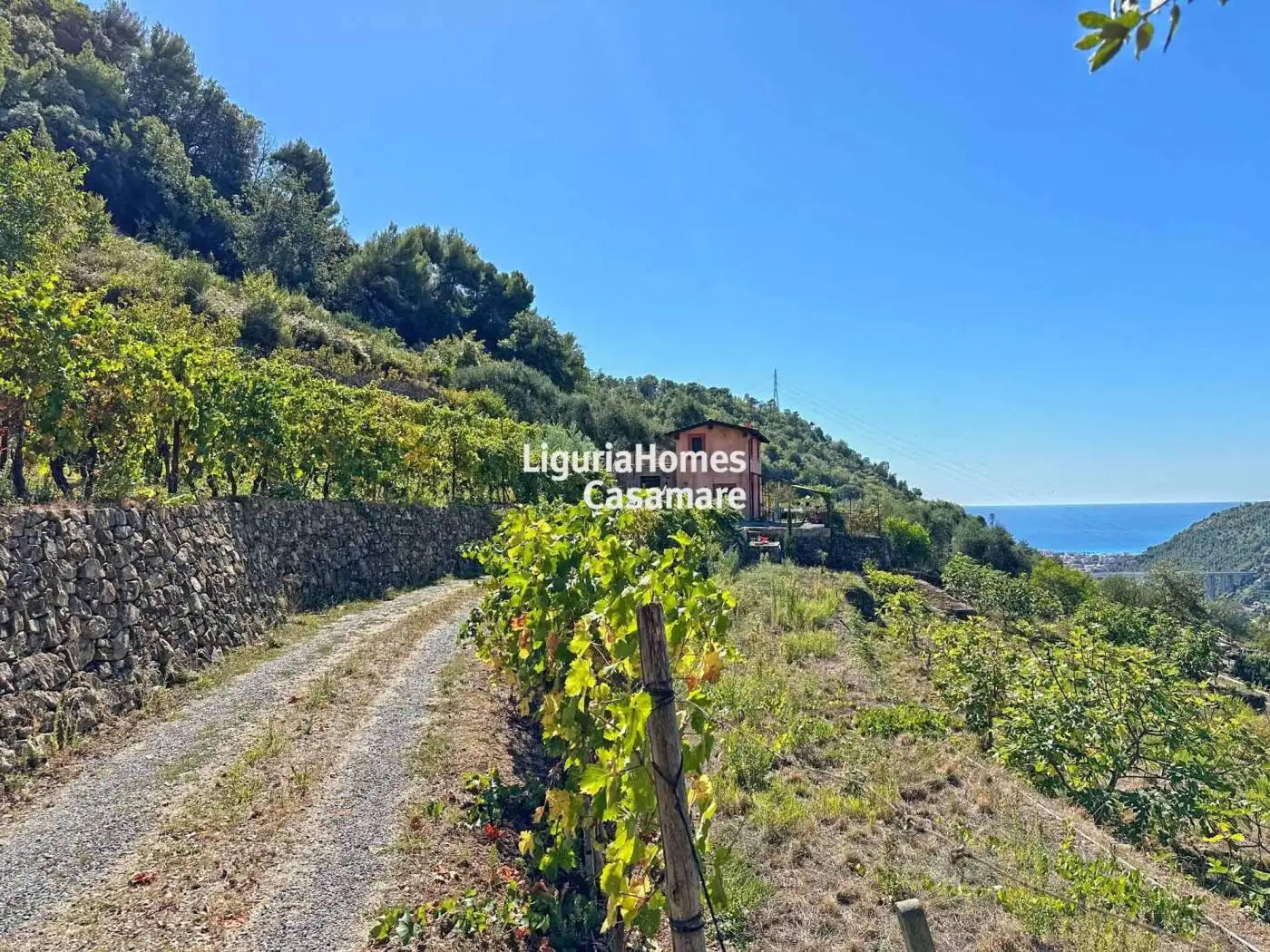 Villa in vendita a Vallebona