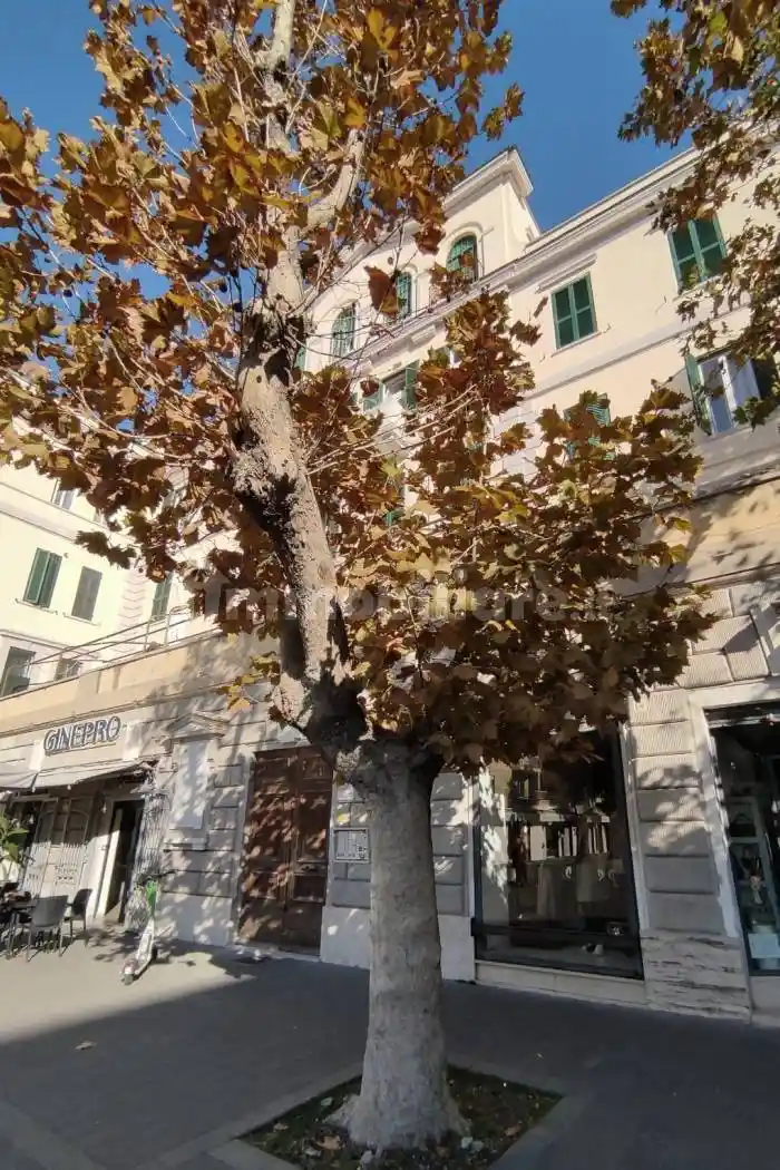 Loft piazza Anco Marzio 13, Ostia Levante, Roma - foto 3