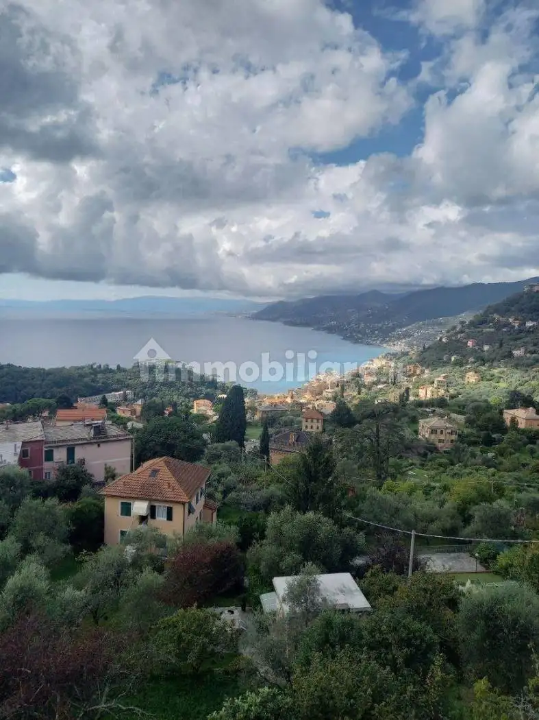 Appartamento in affitto a Camogli