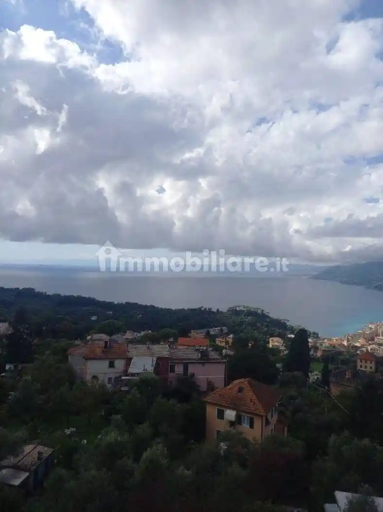 Appartamento salita Prione 31, Ruta, Camogli - foto 2