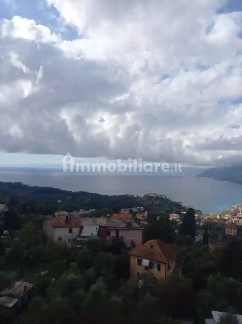 Appartamento salita Prione 31, Ruta, Camogli - foto 4