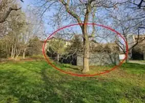 Casa indipendente in asta a Coassolo Torinese