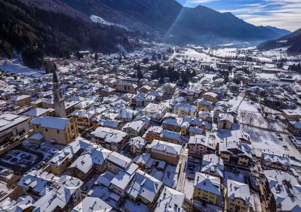 Appartamento in vendita a Pinzolo