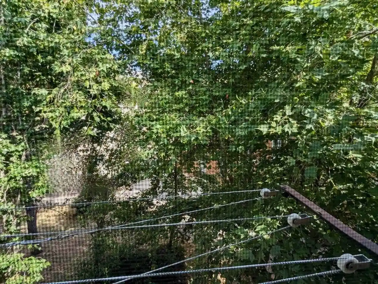 Quadrilocale via Tino di Camaino, Porta a Lucca, Pisa - foto 5