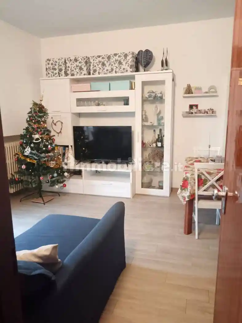 Appartamento viale Giovanni Bovio 461, Centro Urbano, Cesena - foto 3