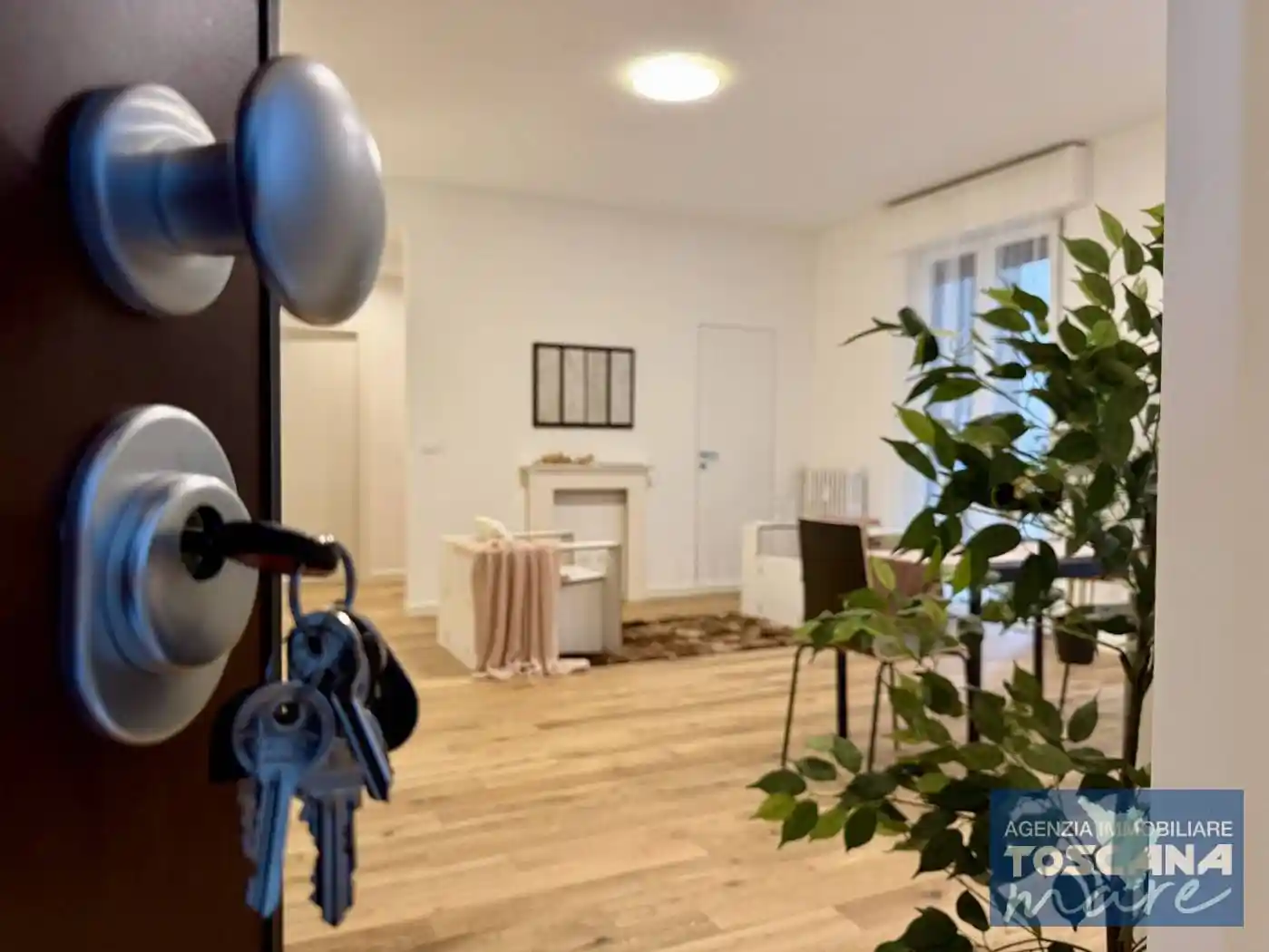 Trilocale ottimo stato, Calzabigi, Livorno - foto 4