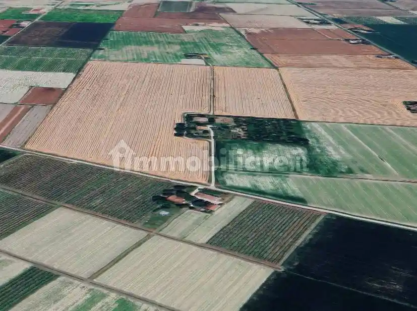 Villa all'asta Merlo, Imola - foto 4