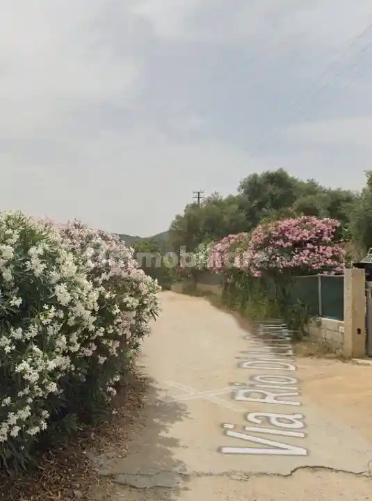 Villa all'asta via Rio di Lu Caprolu, Olbia - foto 2