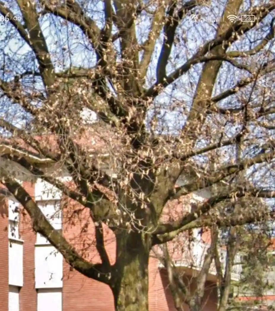 Quadrilocale via Vittorio Alfieri 20, Baragalla - Canalina, Reggio Emilia - foto 5