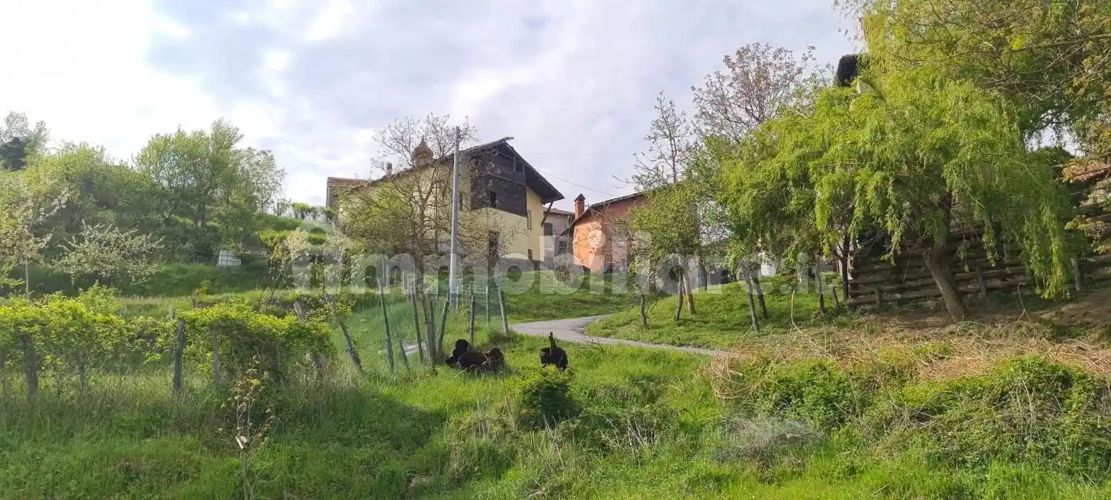 Terratetto unifamiliare frazione Griffoglieto, Isola del Cantone - foto 2