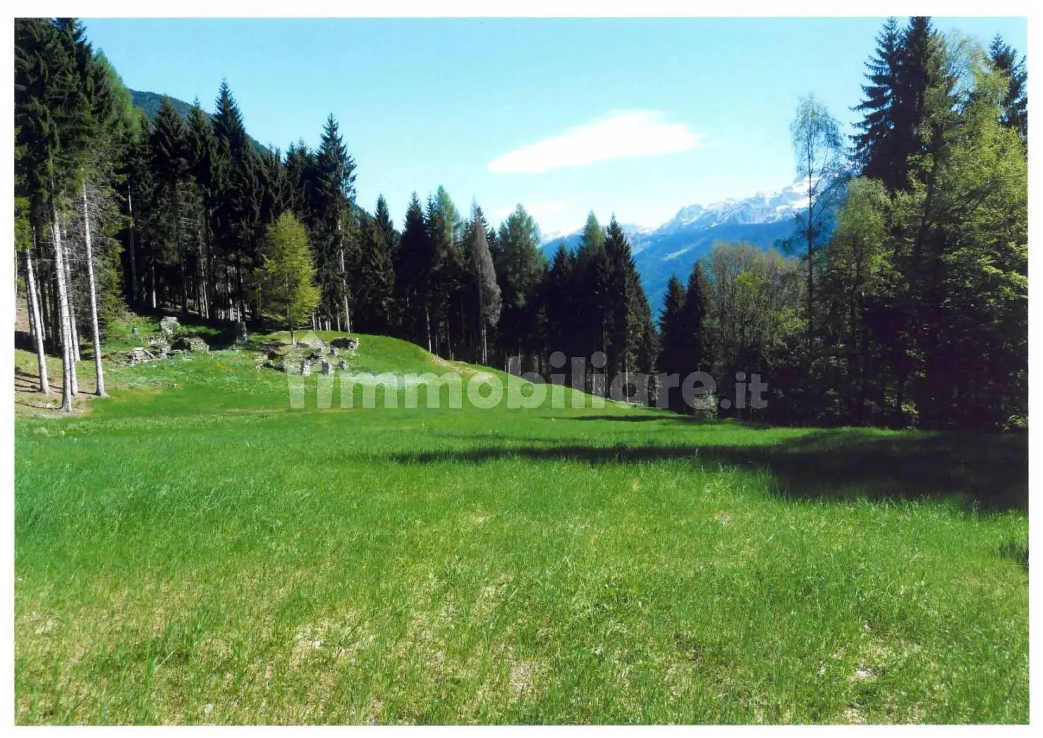 Rustico - Casale in vendita a Pelugo