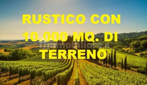 Rustico - Casale in vendita a Monzambano