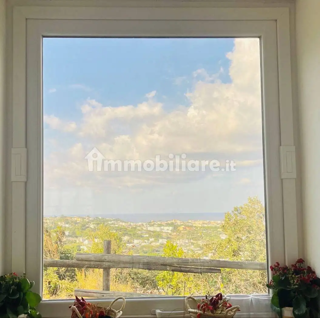 Villa in affitto a Forio