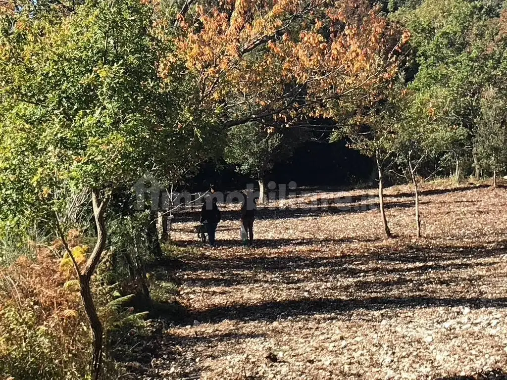 Villa in vendita a Maratea