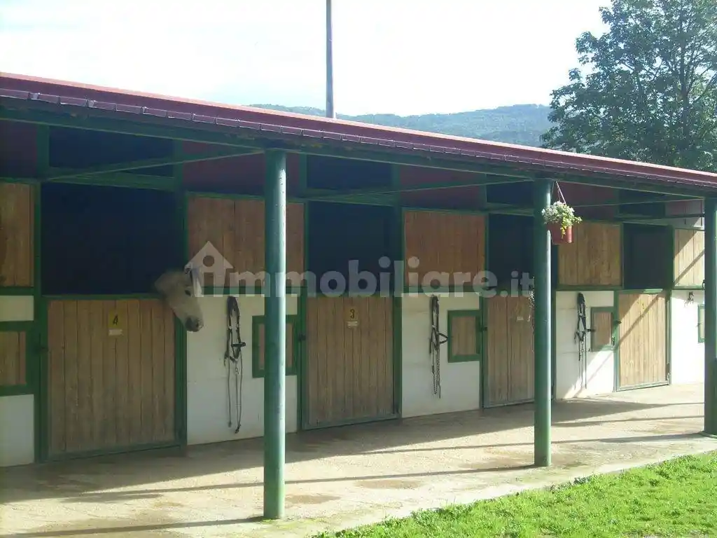 Cascina Contrada Arancio, Sambuca di Sicilia - foto 2