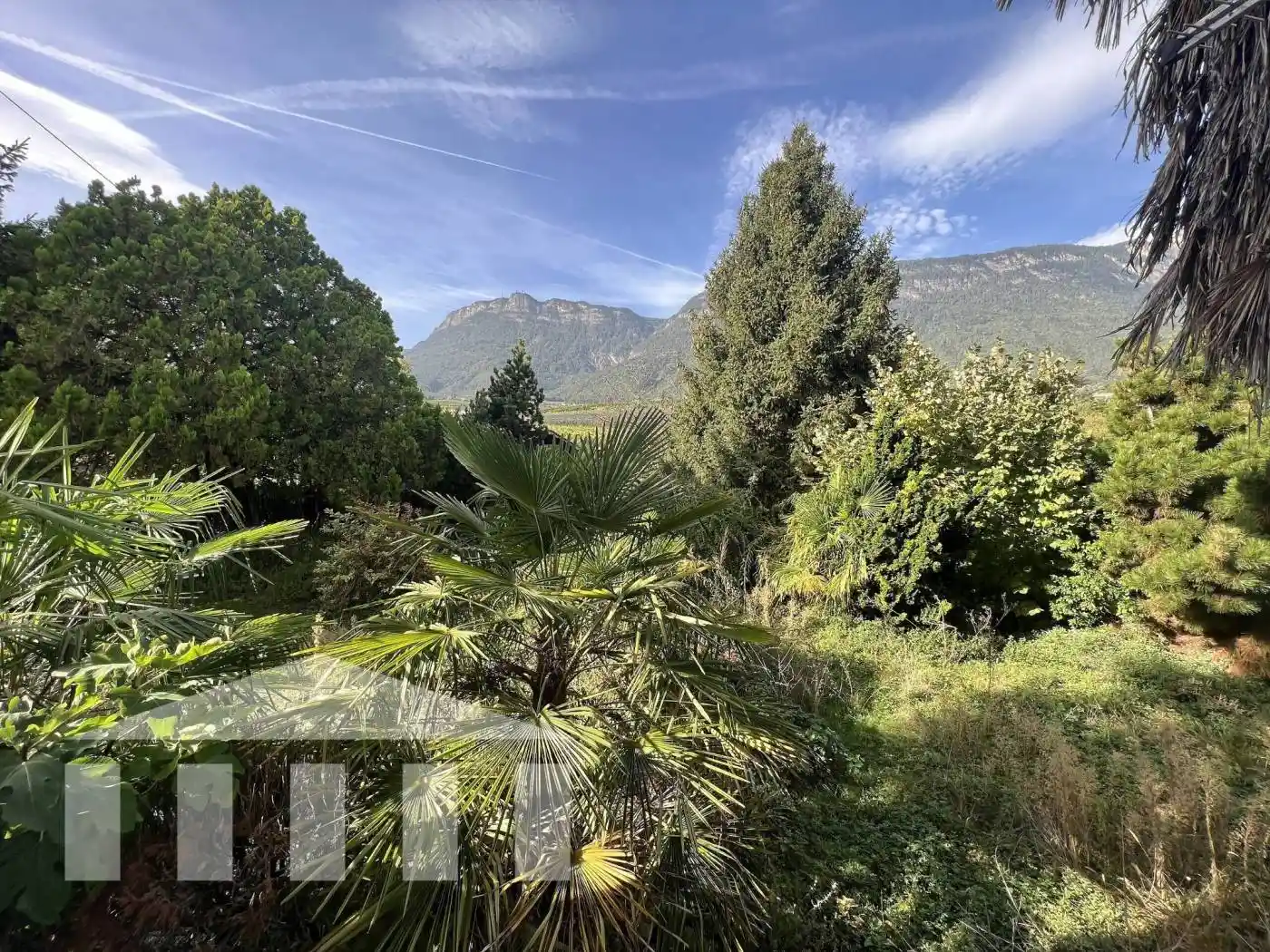 Appartamento in affitto a Appiano sulla Strada del Vino