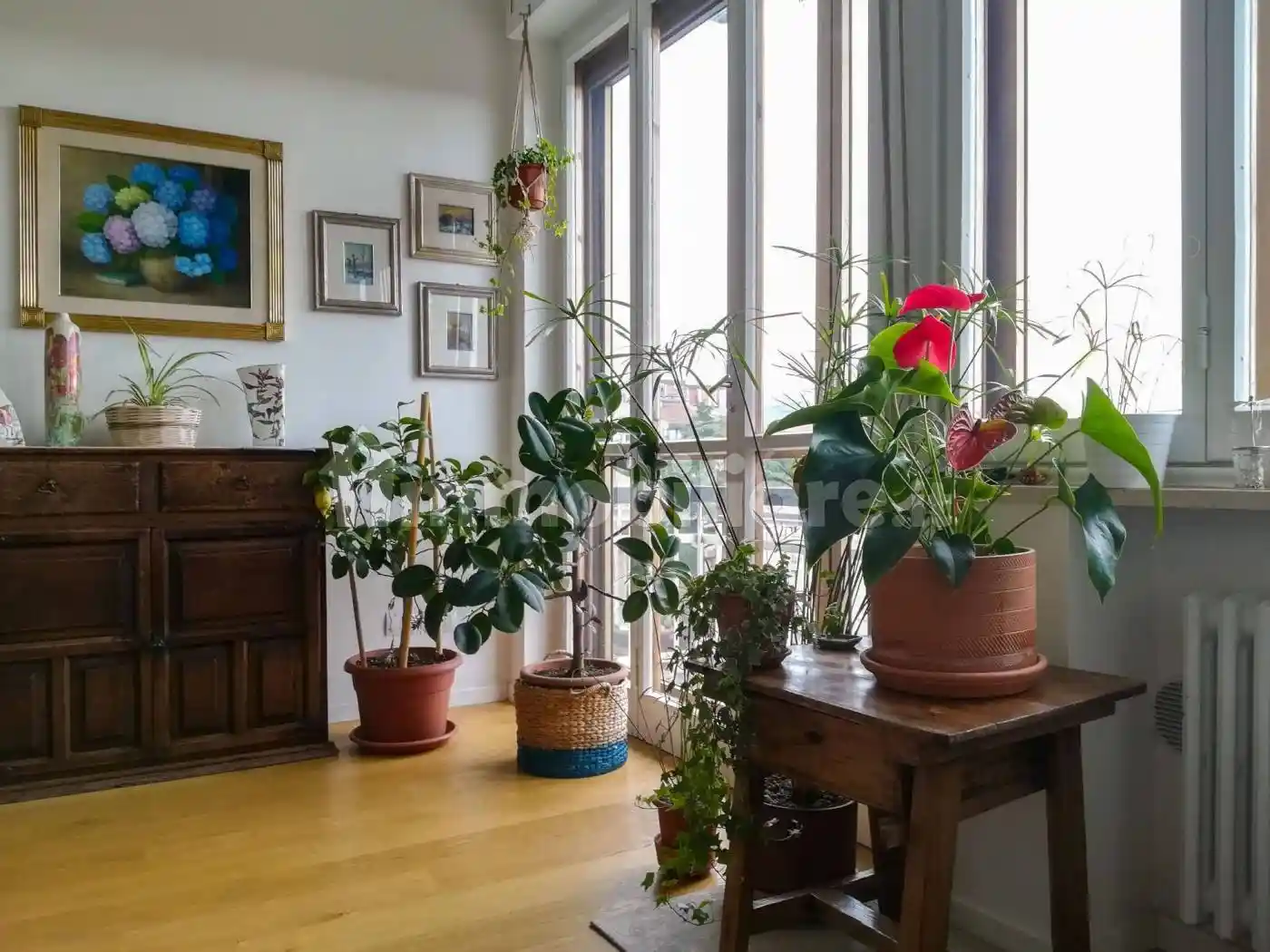 Appartamento in affitto a Firenze