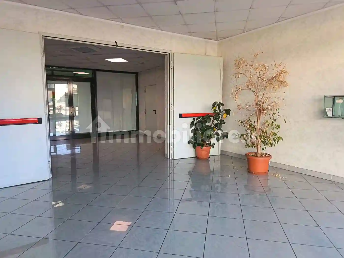 Palazzo - Edificio - foto 4