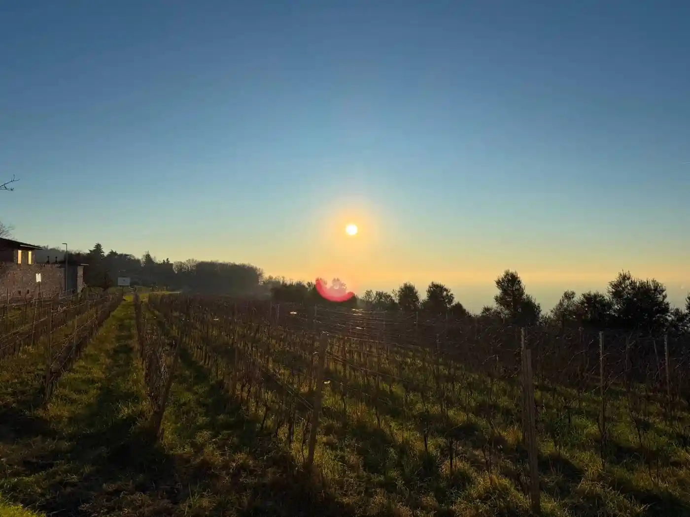 Trilocale via Campiani, Collebeato - foto 4
