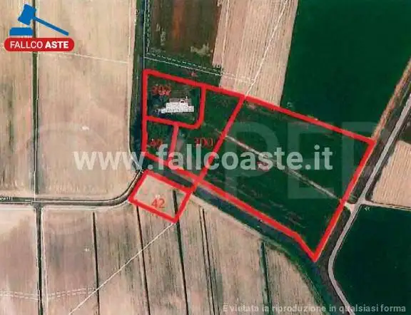 Rustico - Casale in asta a Codevigo