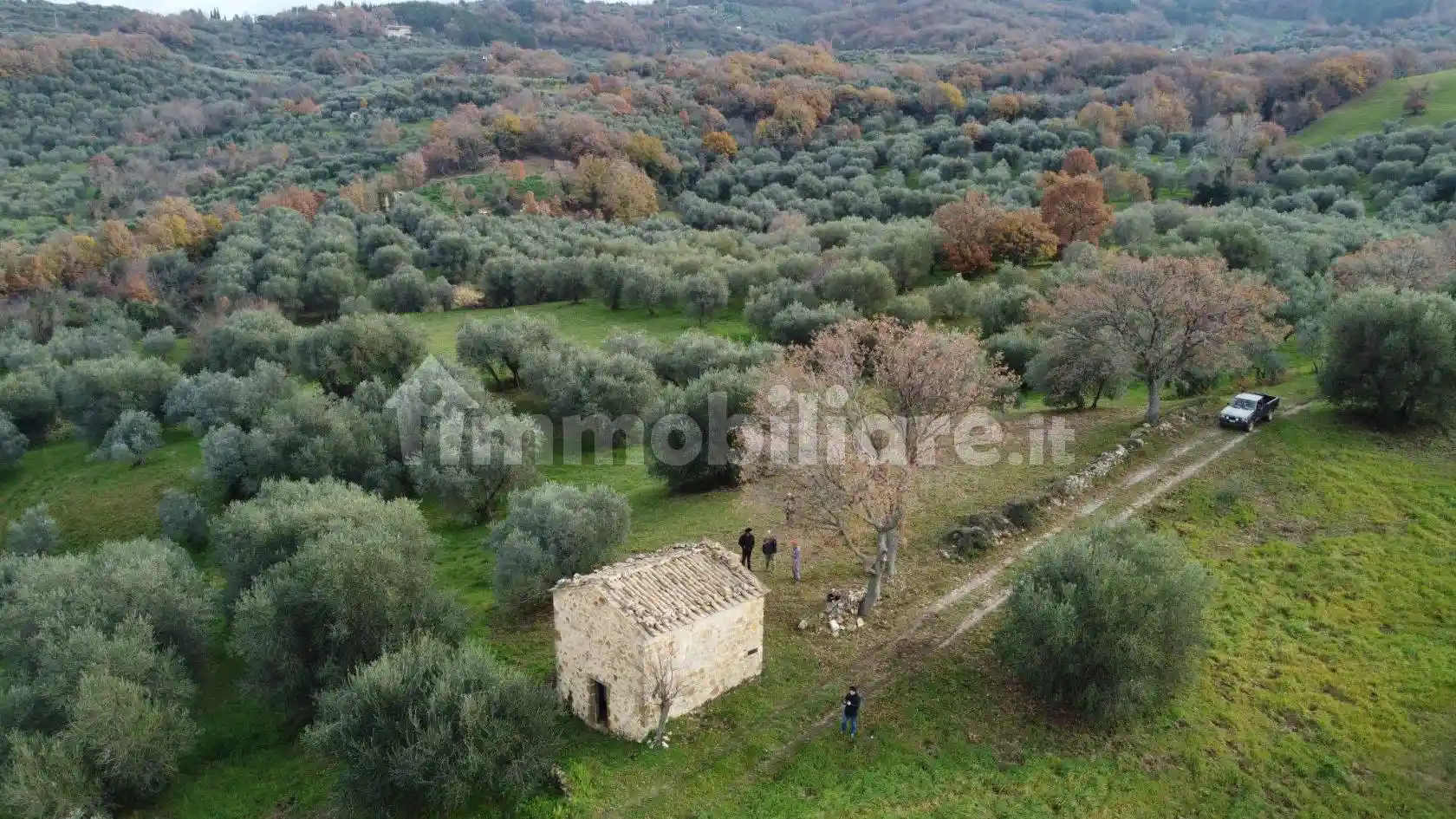 Rustico - Casale in vendita a Cinigiano
